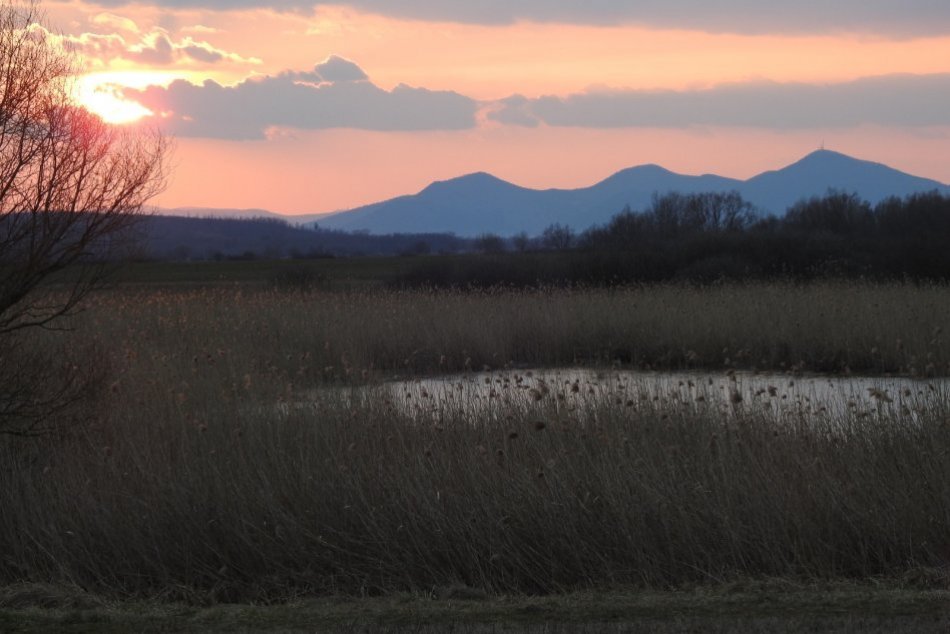 Ilustračný obrázok k článku V Sennom zachraňujú mokrade a vítajú jedného z prvých bocianov Afriky