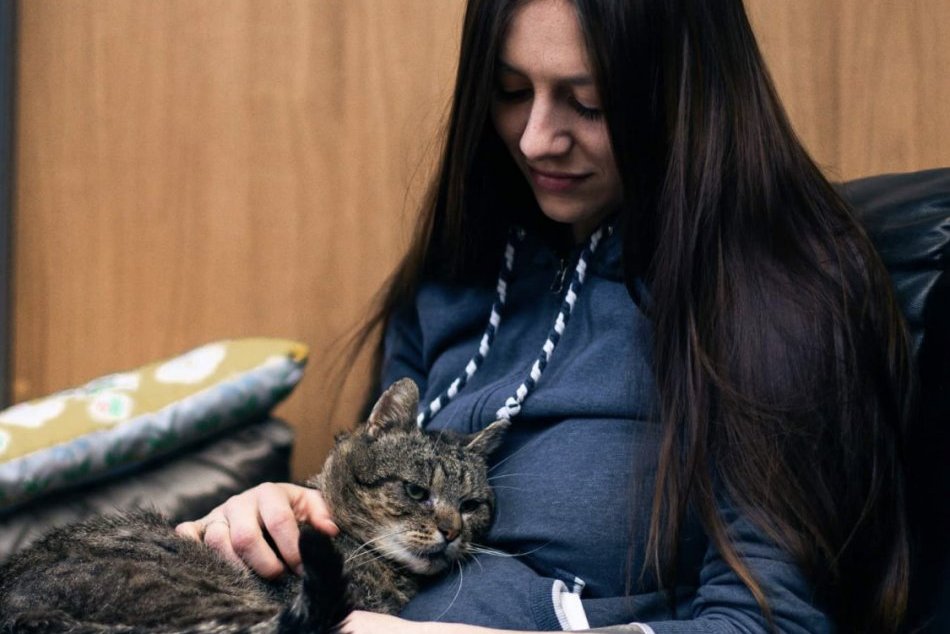 Ilustračný obrázok k článku Opustené mačičky v Revúcej nezostali napospas osudu: Martina zachraňuje nemé tváre