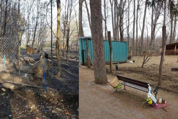 Ilustračný obrázok k článku Nový smetný kôš a makadam v Berku? Mesto odpovedá na ďalší podnet