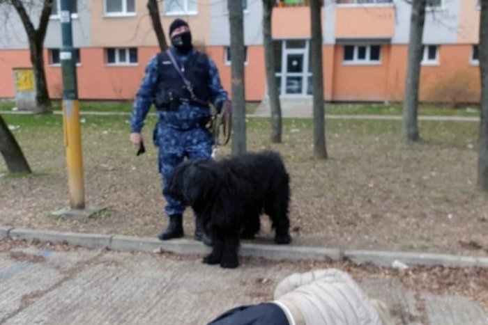 Ilustračný obrázok k článku Dramatické chvíle v Petržalke: Ľudia mužovi v bezvedomí nedokázali pomôcť, bránil im v tom obrovský pes