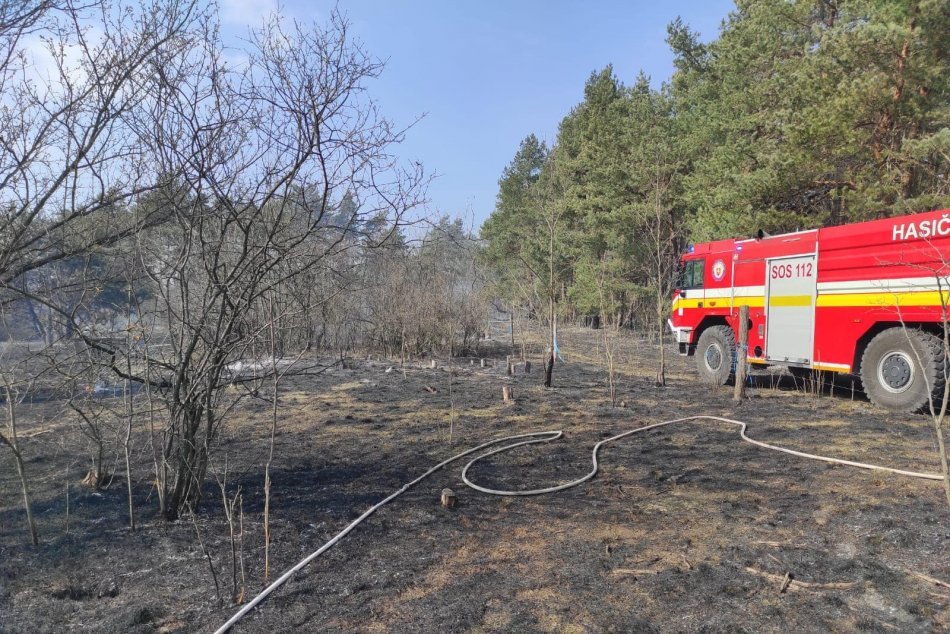 Ilustračný obrázok k článku Hasiči zasahovali pri veľkom požiari: Plamene zachvátili stromy a kríky, FOTO
