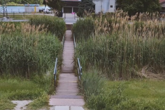 Ilustračný obrázok k článku Petržalčania, tešte sa! Ponad Chorvátske rameno sa bude dať prejsť po 4 nových lávkach