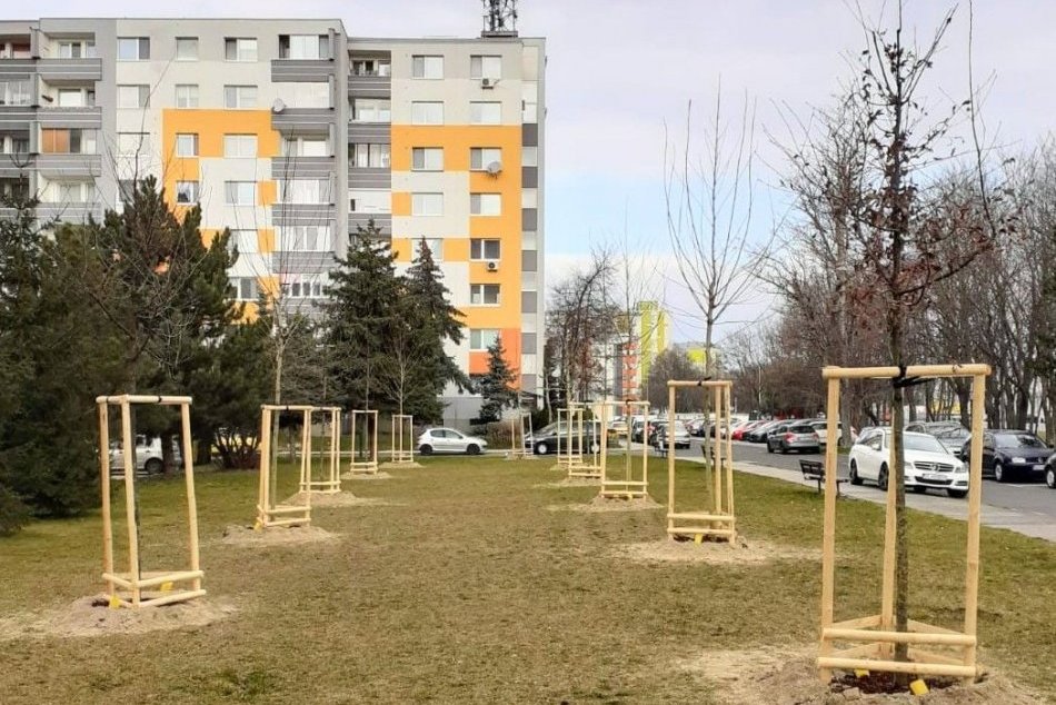 Ilustračný obrázok k článku V Lučenci prebehne výsadba: Mesto ľuďom poskytne stromčeky či kvety ZDARMA