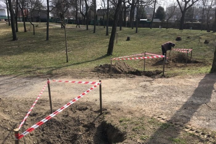 Ilustračný obrázok k článku Sídlisko zaplaví zeleň: Uprostred betónovej džungle zasadia stovky stromov