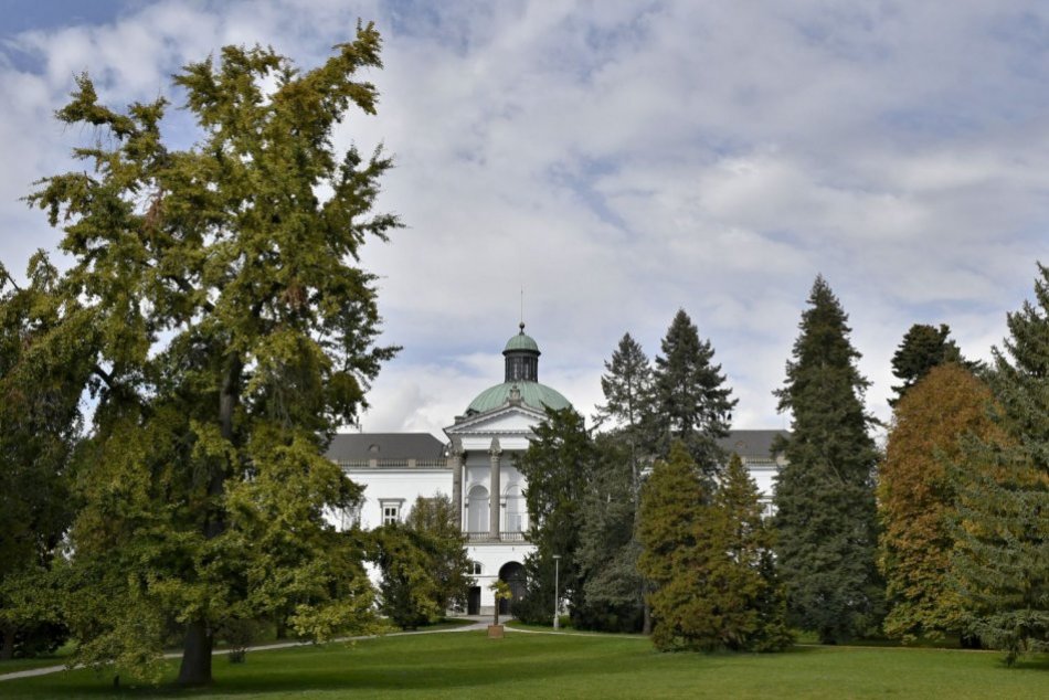 Ilustračný obrázok k článku Park v Topoľčiankach mení svoj vzhľad: Za každý vypílený strom zasadia niekoľko nových