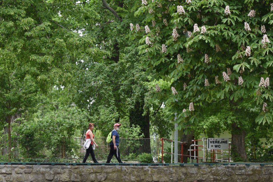 Ilustračný obrázok k článku Trnavčania sa pustili do upratovania: Jarné čistenie Kamenáča predĺžili