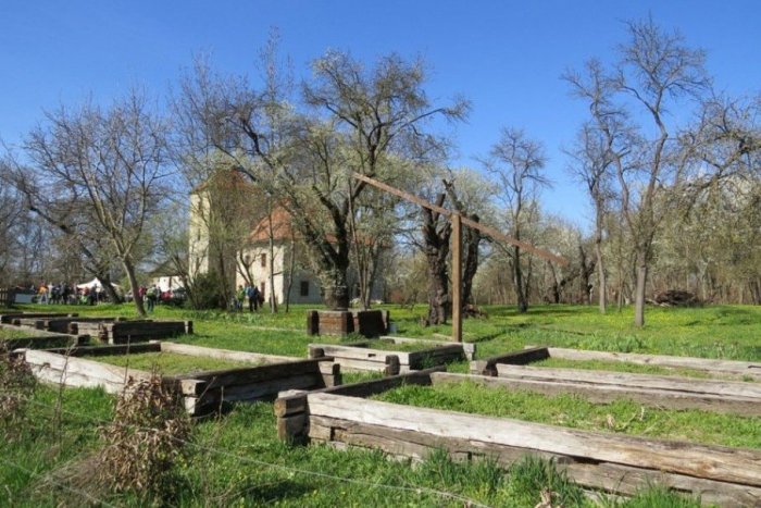 Ilustračný obrázok k článku Na Senianskych rybníkoch privítali prvých zimných hostí