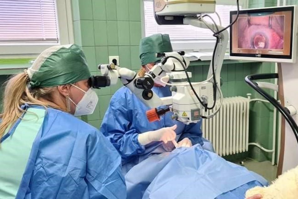 Ilustračný obrázok k článku Šikovné považskobystrické ručičky: Moderná metóda skvalitní život pacientov, FOTO