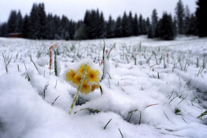 Ilustračný obrázok k článku Veľkonočný teplotný šok: Kam sa vráti zimné počasie a aj sneženie? + PREDPOVEĎ