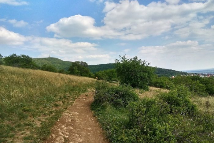 Ilustračný obrázok k článku Novinka, ktorá poteší turistov: Na Zobore pribudnú nové lavičky a stoly