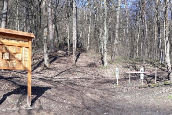 Ilustračný obrázok k článku Veľká upratovacia akcia v Humennom. Pomôcť môžete aj vy!