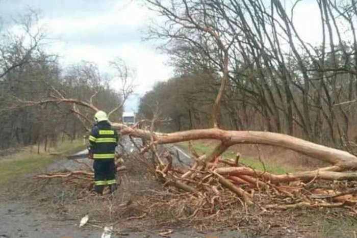 Ilustračný obrázok k článku Silný vietor narobil v Bratislave a okolí poriadnu "paseku": Strhol aj strechu na budove školy!