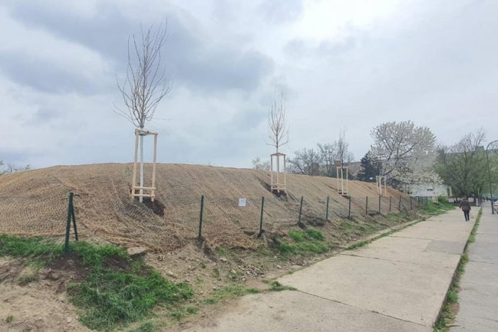 Ilustračný obrázok k článku Kontroverzná pumptracková dráha v Bratislave je takmer hotová. Kritici už frflú menej