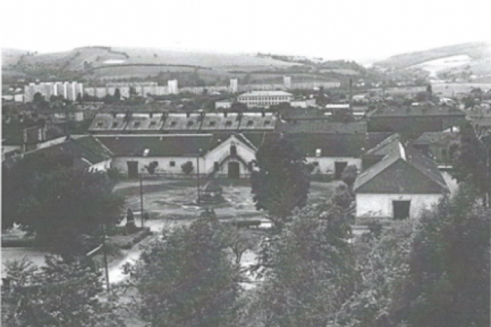 Ilustračný obrázok k článku Viete, prečo sú Prešovčania koňare? FAKTY o histórii mesta odpovedia jednoznačne