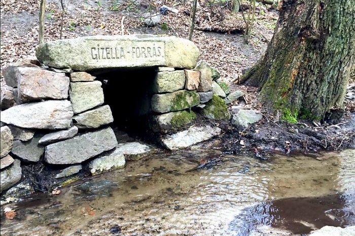 Ilustračný obrázok k článku Problém pri Poprade: Voda v studničke vykazuje zvýšené hodnoty koliformných baktérií