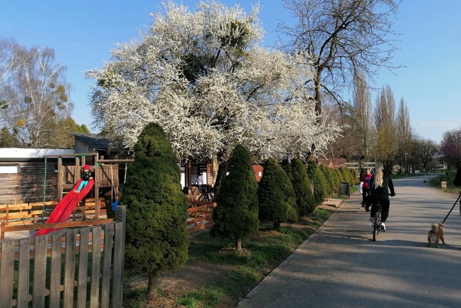 Ilustračný obrázok k článku V OBRAZOCH: Park Anička láka na prechádzky. Je rajom detí, športovcov aj psičkárov