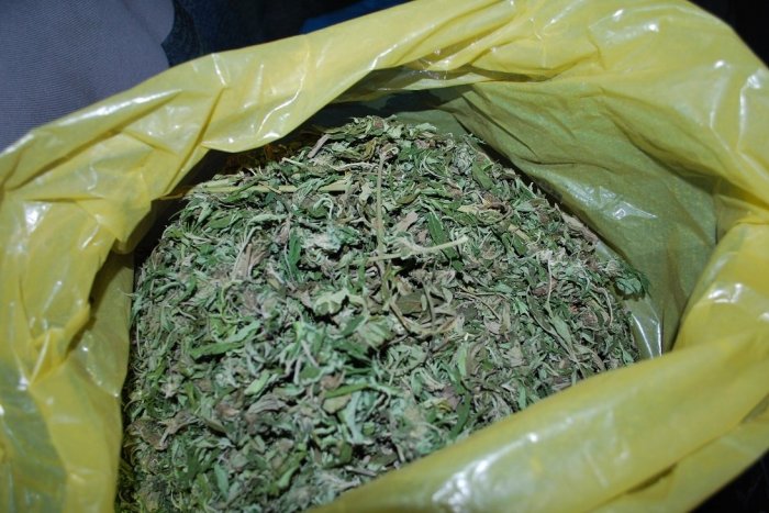 Ilustračný obrázok k článku Protidrogové dalo stopku zásielke marihuany za 33 miliónov eur! Smerovala na Slovensko