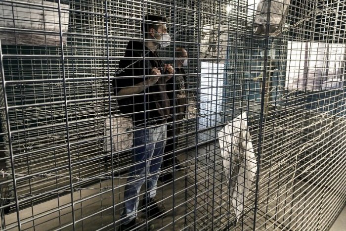 Ilustračný obrázok k článku Zbavíme sa konečne núdzového stavu? Vyzerá to nádejne