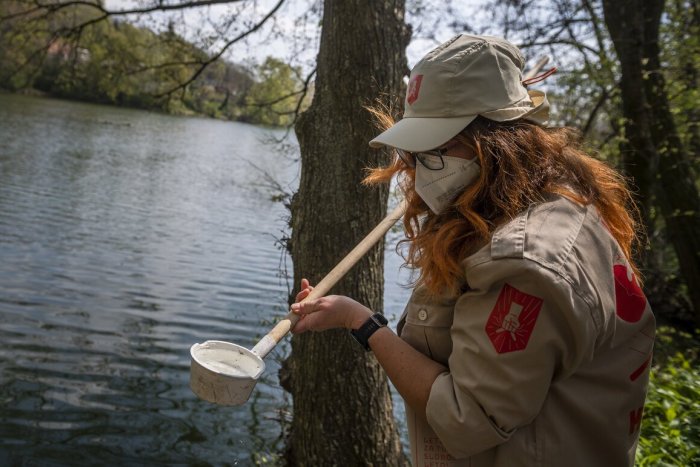 Ilustračný obrázok k článku Bratislava bojuje proti KOMÁROM: Zlikvidovali už stovky liahnísk