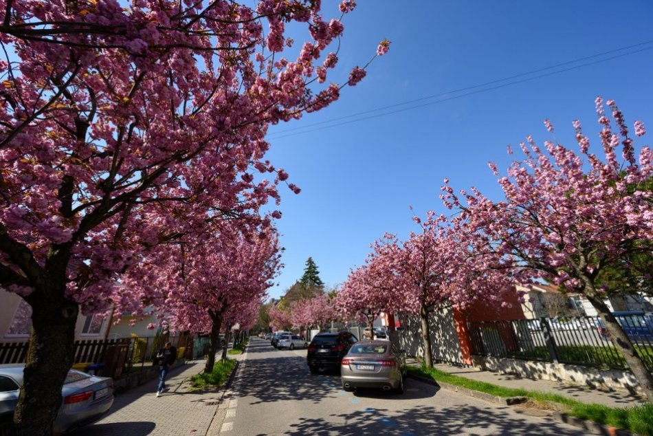 Ilustračný obrázok k článku Polepšili sme si! Okres Košice bude od pondelka RUŽOVÝ