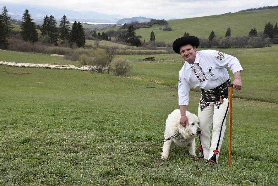 Ilustračný obrázok k článku Zažite salaš na vlastnej koži: Nápaditý projekt ukazuje Liptov v inom svetle, VIDEO