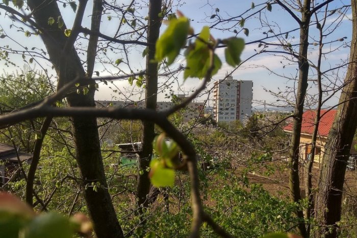 Ilustračný obrázok k článku Množia sa stretnutia s najjedovatejším pavúkom na Slovensku: Viete, KEDY vás pohryzie?