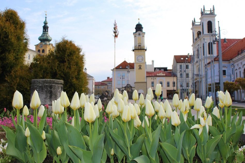 Ilustračný obrázok k článku Bystrica v týchto dňoch hýri farbami: Po celom meste rozkvitli kvetinové záhony, FOTO