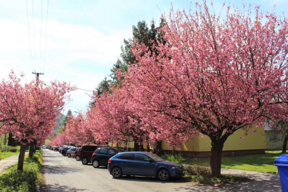 Ilustračný obrázok k článku Poznáte v Bystrici krajšie ulice? Tieto nám veru môžu závidieť, FOTO