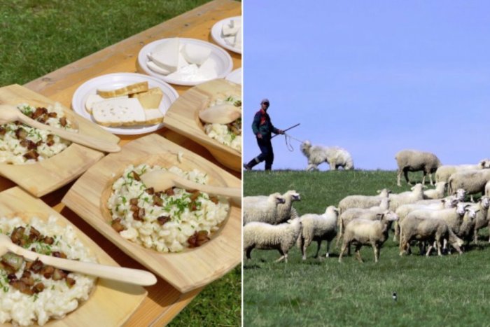 Ilustračný obrázok k článku Slovenské biele zlato: Najlepšia bryndza je májová. POZOR, niekde ju teraz nekúpite!