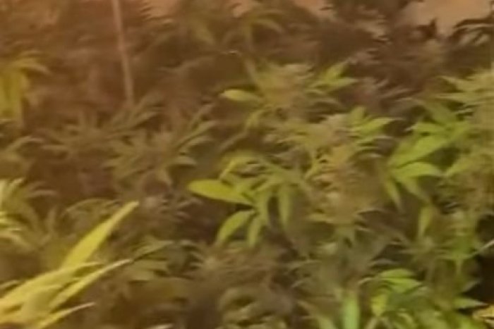 Ilustračný obrázok k článku Zásah kukláčov neďaleko Lučenca: Objavili drogové laboratórium, VIDEO