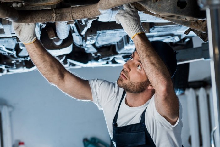 Ilustračný obrázok k článku Podnikanie, ktoré odolalo kríze