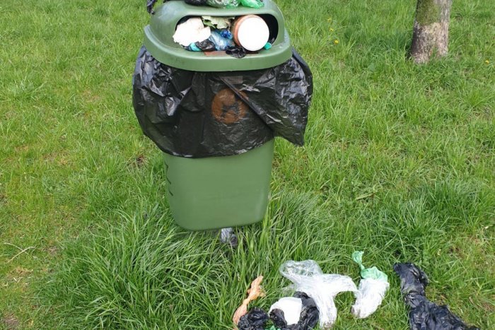 Ilustračný obrázok k článku Dobrá správa pre psičkárov: Táto mestská časť sa stará o blaho štvornohých maznáčikov