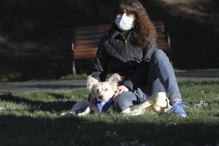 Ilustračný obrázok k článku Muž v Bratislave ÚTOČIL na psičkárky: Žene, ktorá svojho miláčika chránila, uštedril RANU do tváre