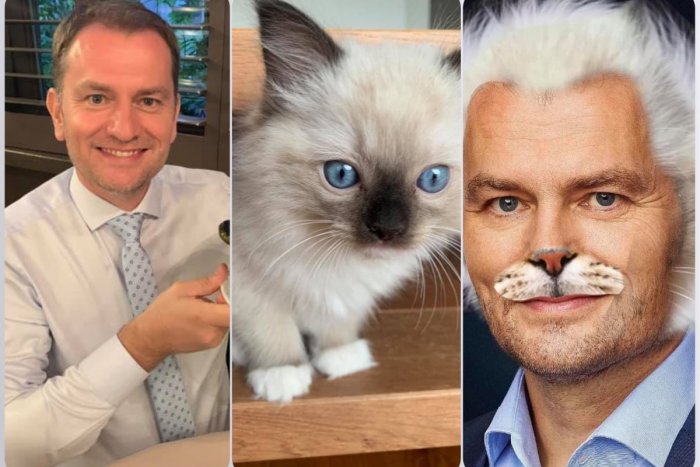 Ilustračný obrázok k článku Kauza Mačiakov šampón valcuje internet: Videli ste TIETO vtipy na adresu Matoviča? FOTO