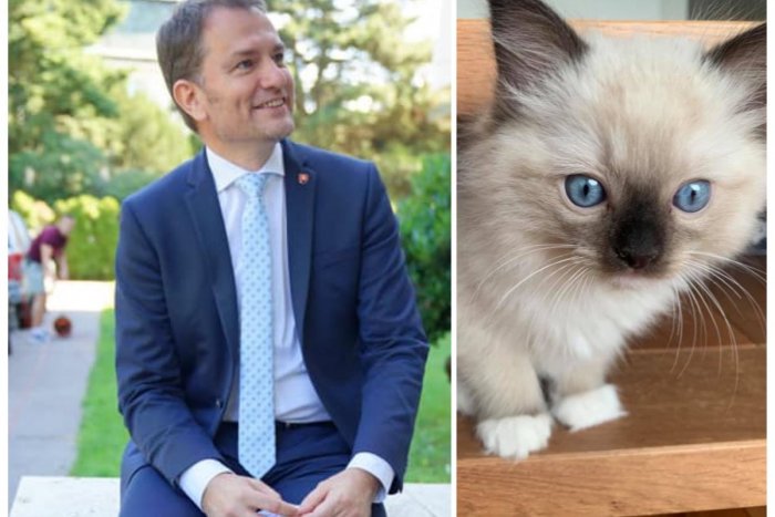 Ilustračný obrázok k článku Matovič opísal raňajšiu príhodu z kúpeľne: Prečo to dal minister dnes na MAČIAKA!