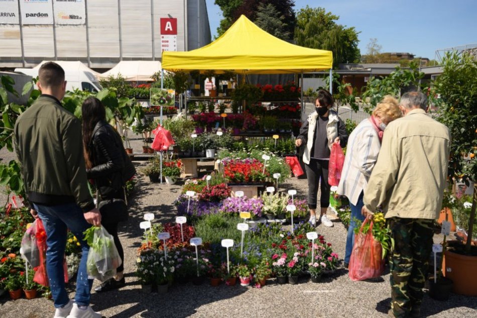 Ilustračný obrázok k článku Agrokomplex spojí obľúbené výstavy: Tešiť sa môžete na Gardeniu aj veľtrh nábytku