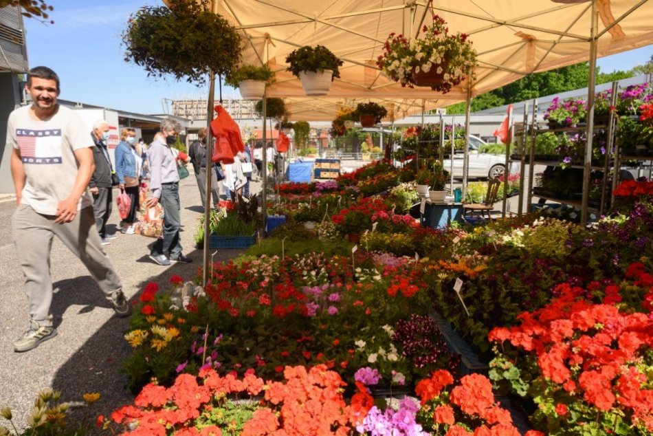 Ilustračný obrázok k článku TOP aprílové podujatia: Tešiť sa môžete na obľúbenú GARDENIU aj svadobnú výstavu