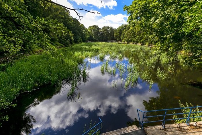 Ilustračný obrázok k článku Stop ďalším stavbám na Železnej studničke! Podarí sa ochrániť vzácnu lokalitu Bratislavy?