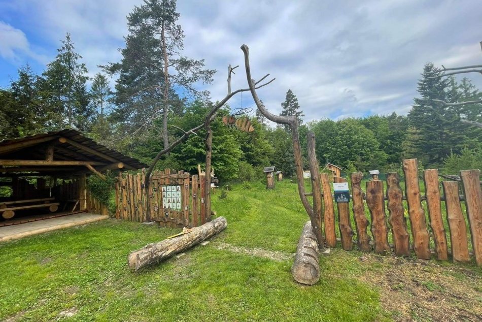 Ilustračný obrázok k článku Včely Raja alebo včelí raj je unikátna ekovčelnica, ktorá vznikla v našom regióne, FOTO