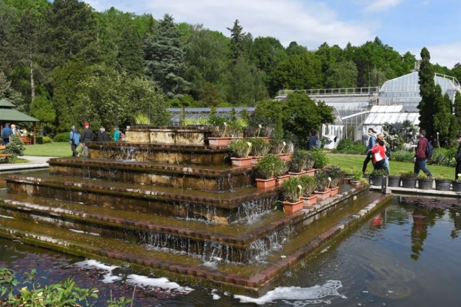 Ilustračný obrázok k článku Nová atrakcia v Botanickej záhrade: Spoznajte stromy, oddýchnite si aj zacvičte