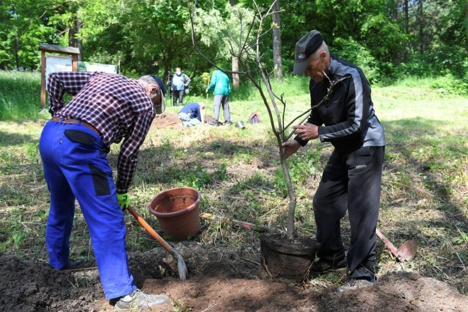 Ilustračný obrázok k článku V Prievidzi sa rozmohli kuriózne krádeže: Po kvetoch berú už aj vysadené kríky