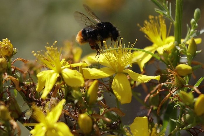 Ilustračný obrázok k článku Trenčiansky kraj sa s príchodom jari uzdravuje: Koronavírus klesol o 20 percent