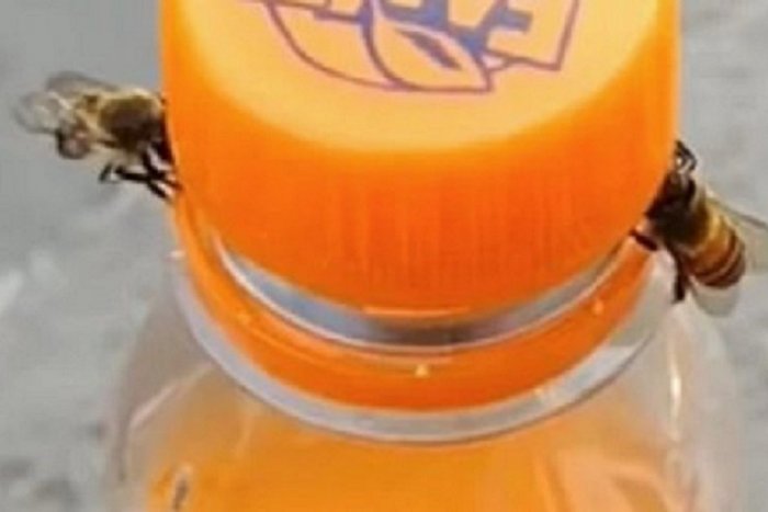 Ilustračný obrázok k článku KURIOZITA DŇA: Včely sa dohodli na spolupráci „mimo fachu“. Otvorili si malinovku!