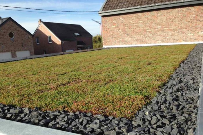 Ilustračný obrázok k článku Chcete zelenú strechu za jeden deň? Skúste substrát z minerálnych vlákien