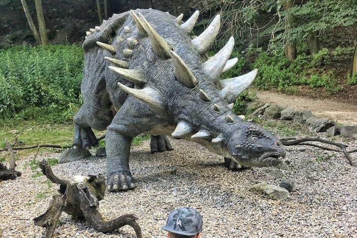 Ilustračný obrázok k článku Obľúbená atrakcia v ZOO je minulosťou: Za KONIEC Dinoparku môže tento spor!