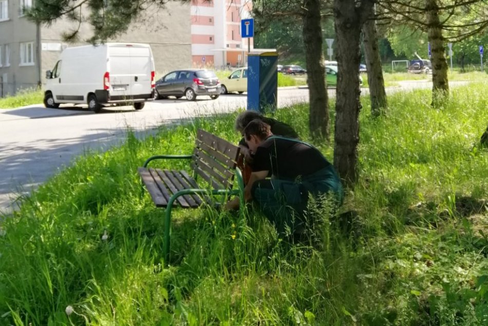 Ilustračný obrázok k článku Mnohí Bystričania sa potešia: V uliciach pribudli desiatky nových lavičiek, FOTO