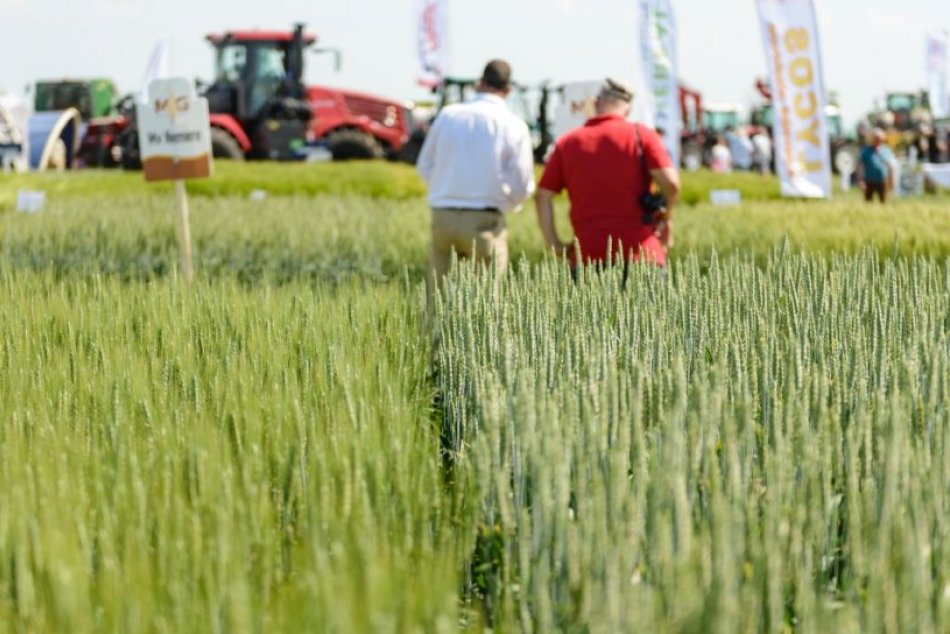 Ilustračný obrázok k článku Po 30-ročnom čakaní to prišlo: Handlová získa ZADARMO pozemky