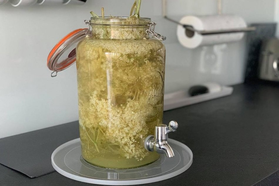 Ilustračný obrázok k článku Dobrý nápad! Bazový sirup, ako ho robíte vy? FOTORECEPT