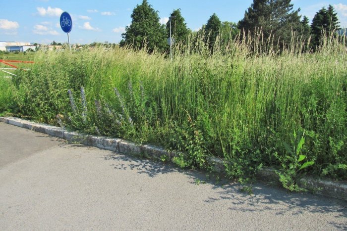 Ilustračný obrázok k článku Čo aktuálne Prešovčanov vytáča najviac? PRALES v uliciach na každom kroku! FOTO