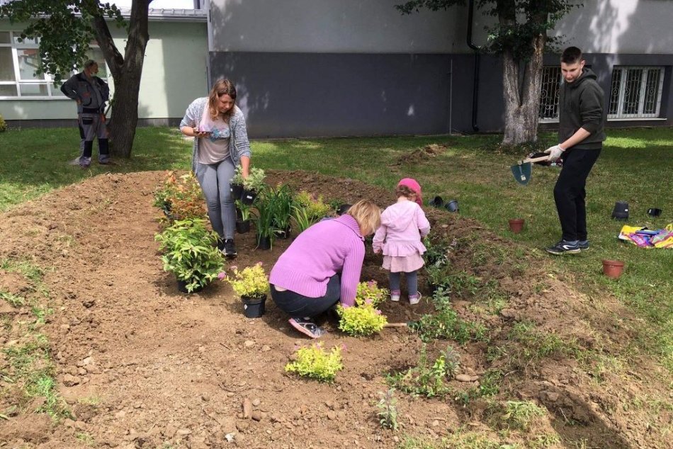 Ilustračný obrázok k článku Dažďové záhrady sa tešia obrovskej popularite: Pribudnú v celom kraji, FOTO